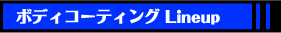 �{�f�B�R�[�e�B���O���C���i�b�v