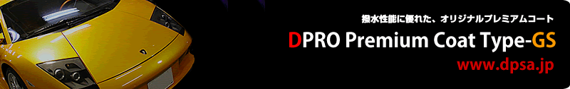 DPRO Type-GS バナー